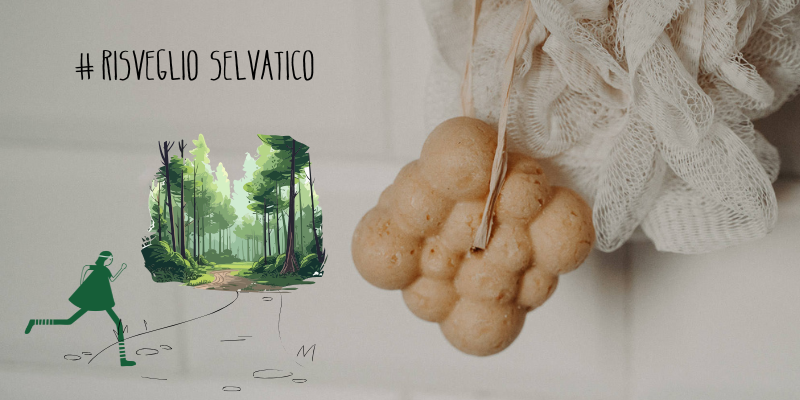 🌞 Risveglio Selvatico – Energia del Mattino