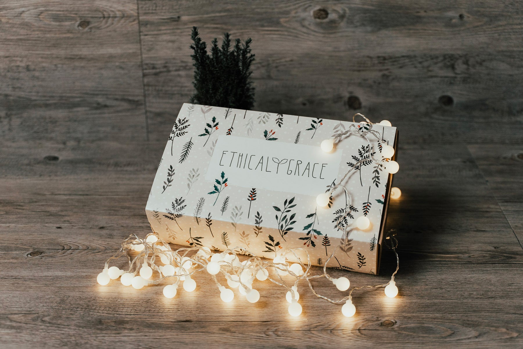 Niente regali, bensì Coccole!