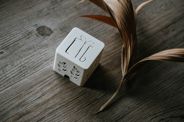 Porta-Shampoo Solido: Il Tuo Compagno di Viaggio Eco-Friendly 🧳