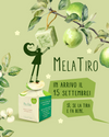 MelaTiro - shampoo solido rinforzante alla mela 2 in 1, edizione autunnale