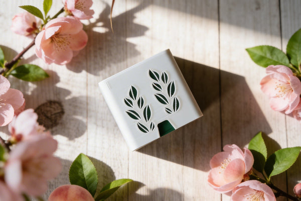 Kit Capelli Selvaggi