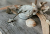 Scrub Corpo Esfoliante al Sale del Mar Morto & Maracuja